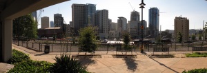 Pike and Pine Dog Park                      